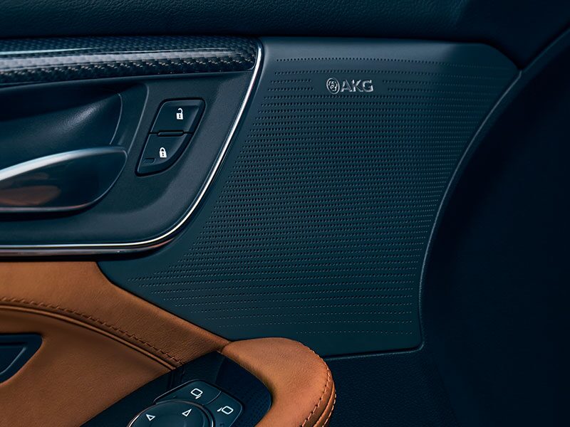Close-up of the Premium AKG Speaker on the Interior Door of a Cadillac CT5