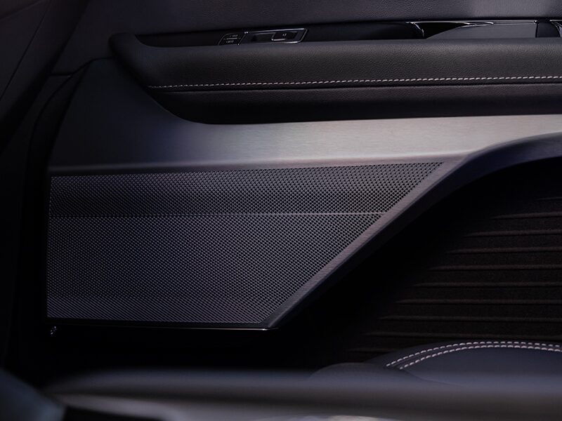 Close-up of the AKG Audio Speaker in a Cadillac