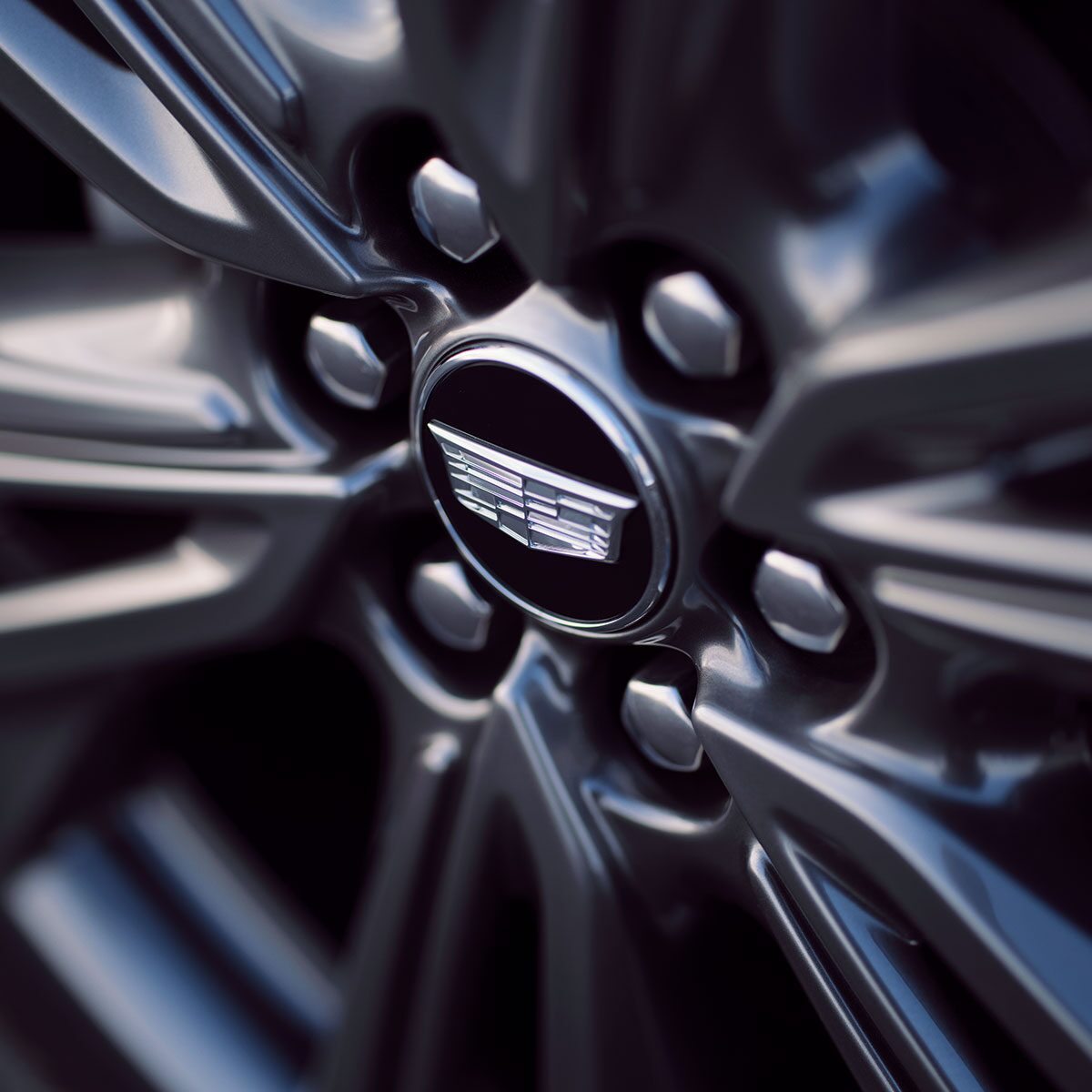 Close Up View of the Wheel and Cadillac Logo in the Center