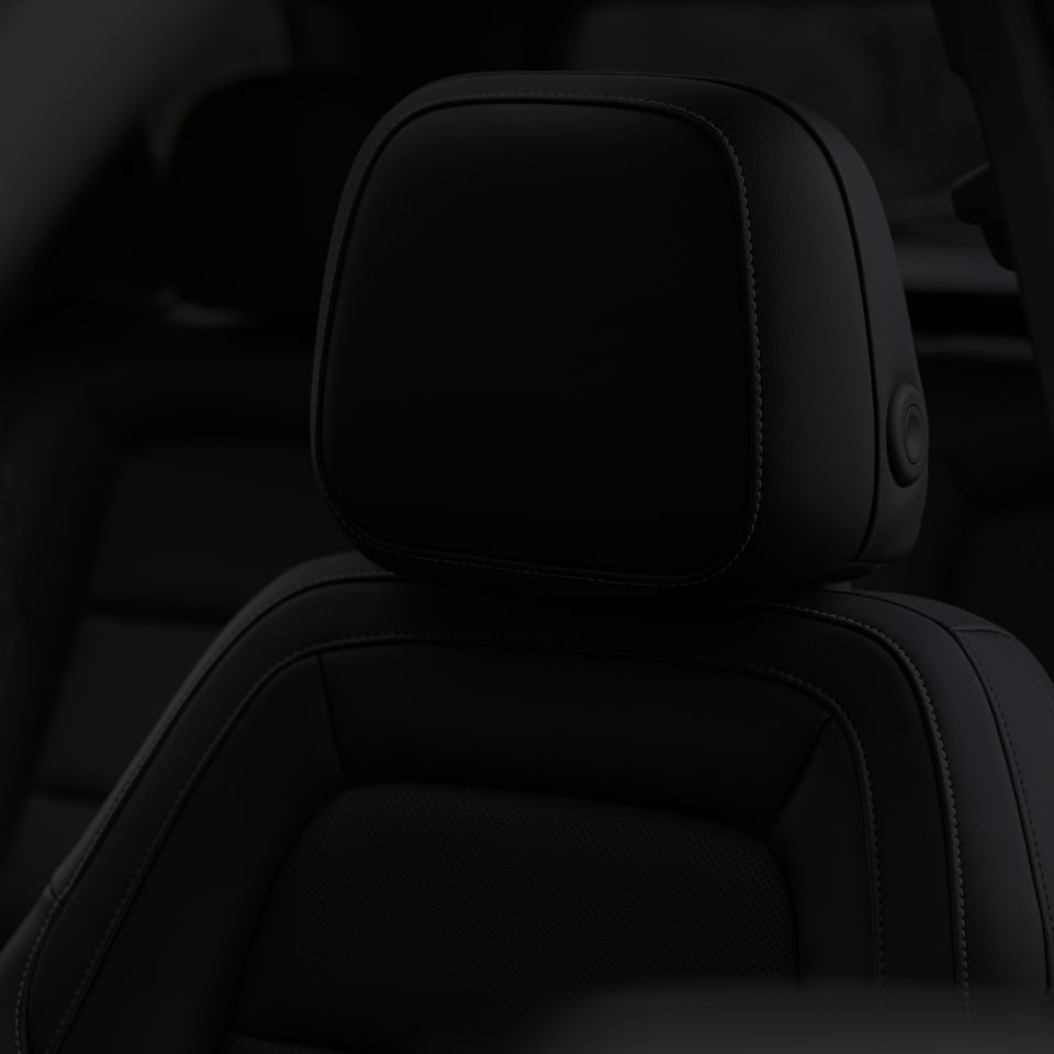 Close-up View of the Head Restraints in the GMC Terrain