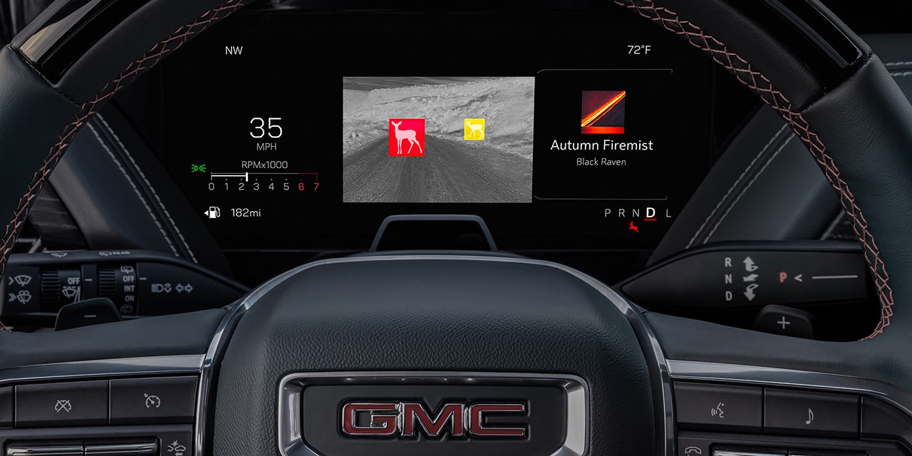 Close-up of the Night Vision Feature on the Drivers Infotainment Center