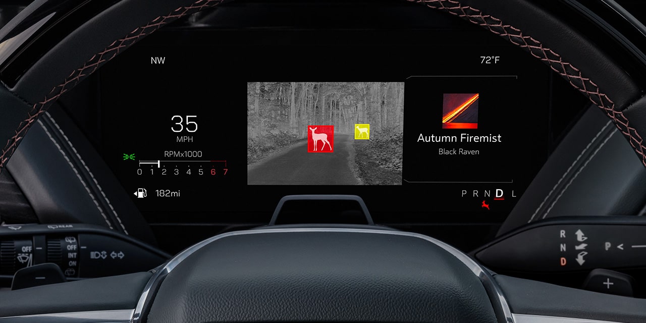 Close-up of the Night Vision Feature